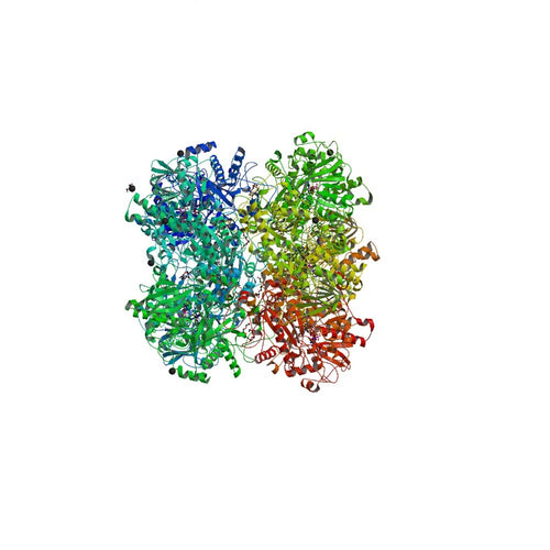 Alcohol Oxidase from Candida