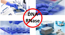 Load image into Gallery viewer, DNA and RNase Removal Solution, Spray, 250 mL