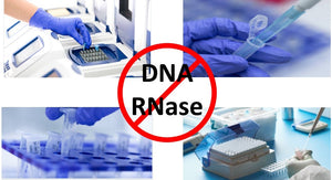 DNA and RNase Removal Solution, Spray, 250 mL