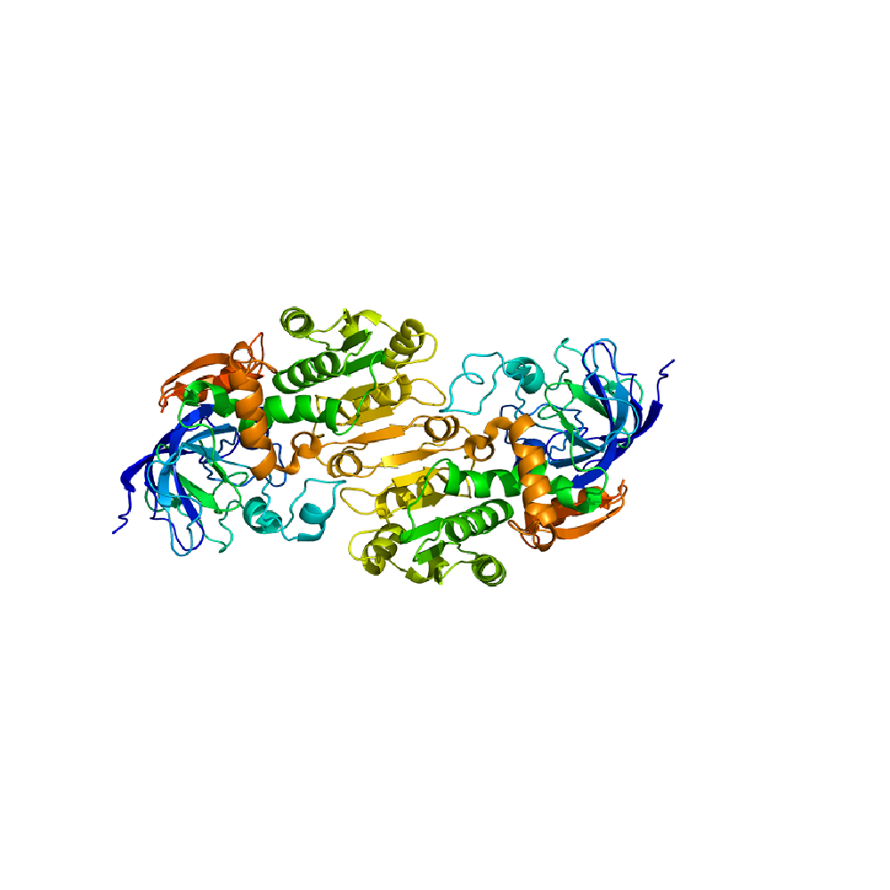 Alcohol Dehydrogenase, Lyophilized Powder
