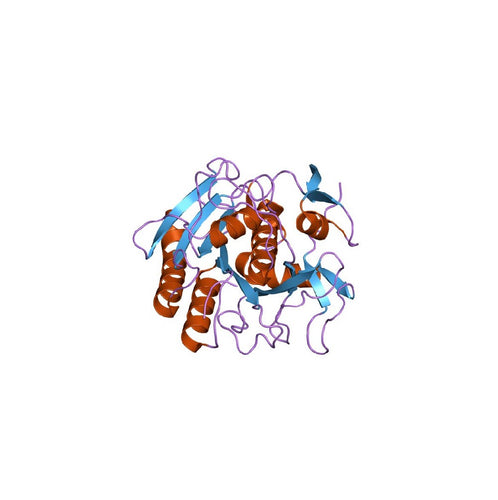 Proteinase K, Recombinant, Molecular Biology Grade, 20 mg/mL Solution